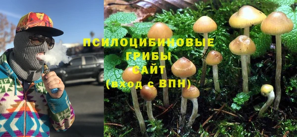 каннабис Каменка