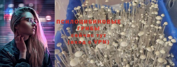 меф Каменногорск