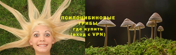 меф Каменногорск