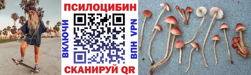 дарнет шоп кракен рабочий сайт Галлюциногенные грибы мицелий Тотьма